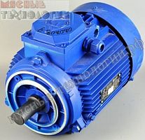 Двигатель АИР 90L4 для МИМ-600М